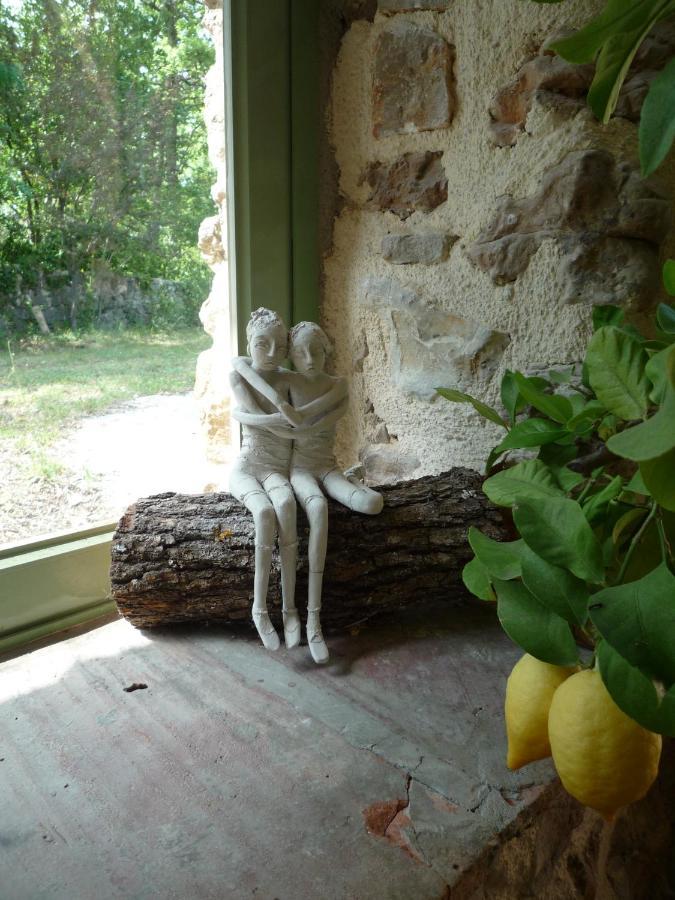 La Rose Des Vents Bed and Breakfast Montauroux Eksteriør billede